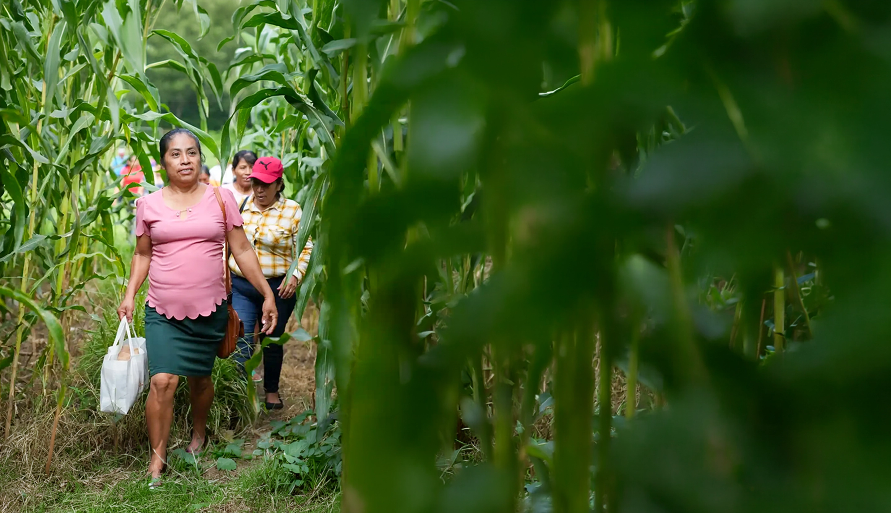 Acción comunitaria frente al clima