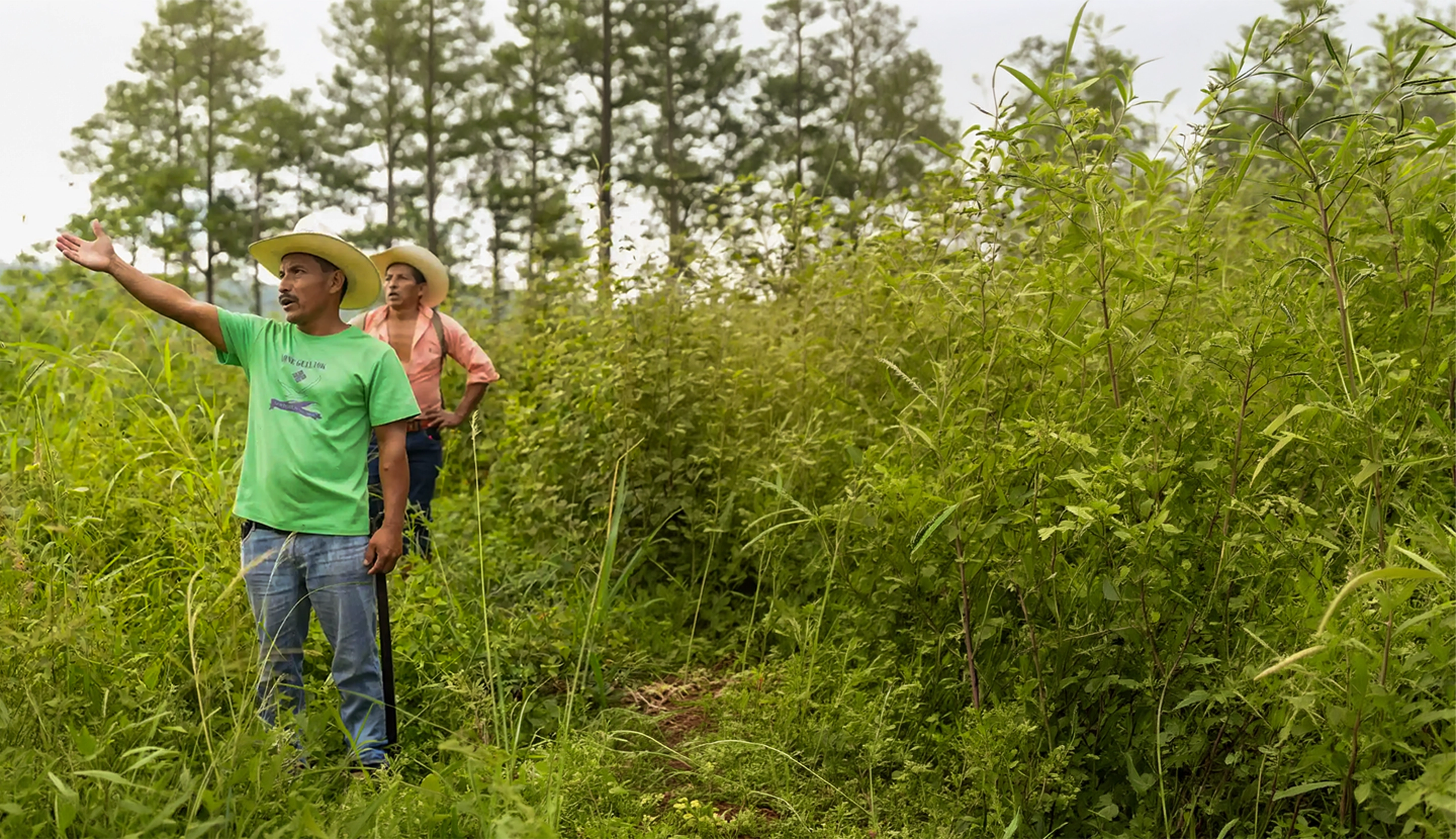 Trabajo territorial por el ambiente