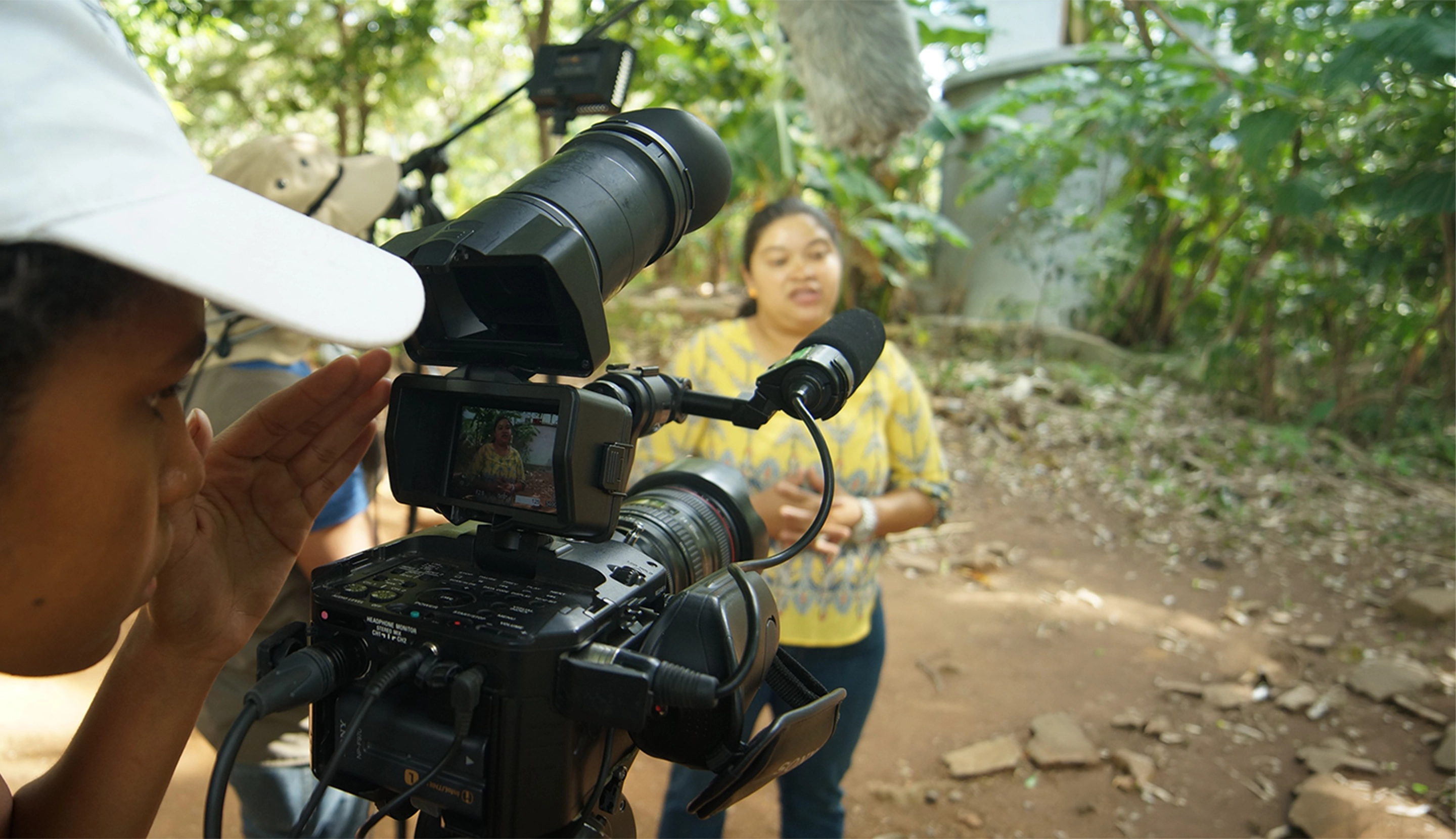 Innovación territorial