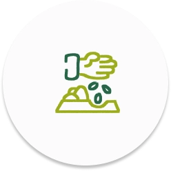 Gestión e Implementación de Proyectos de Desarrollo