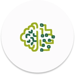 Innovación y Transformación Digital