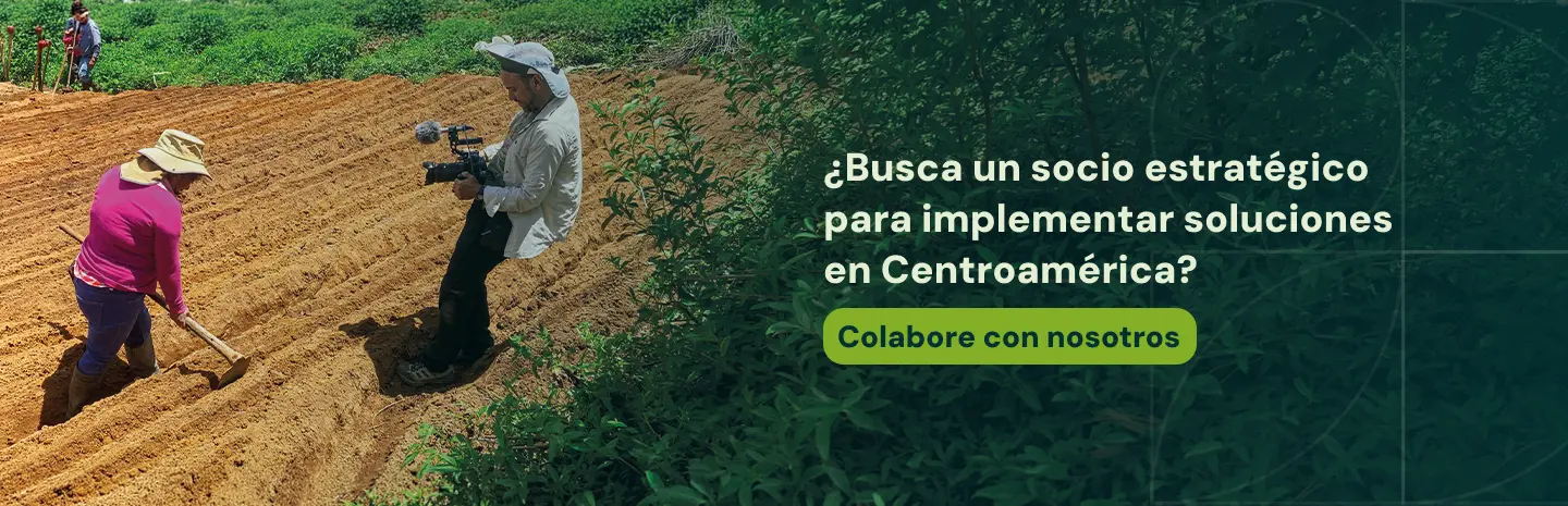 Invitación a colaborar con RDS-HN