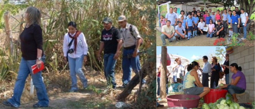 2010 – Una Red digital