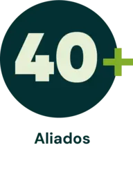 Ítem 4